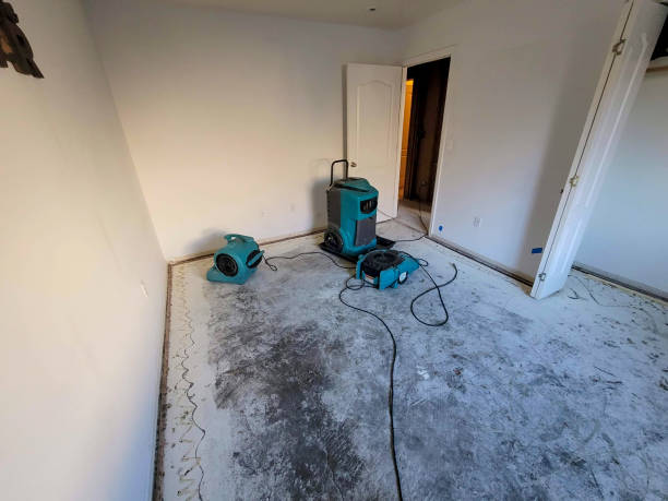 Water damage restoration experts in Marengo, IL