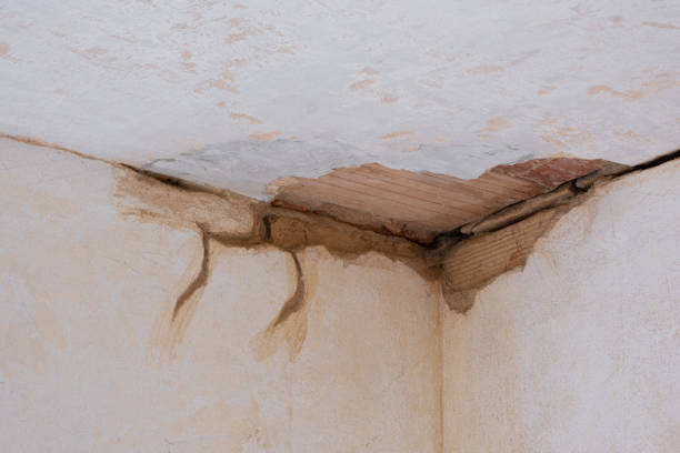 Best Flood restoration services  in Marengo, IL