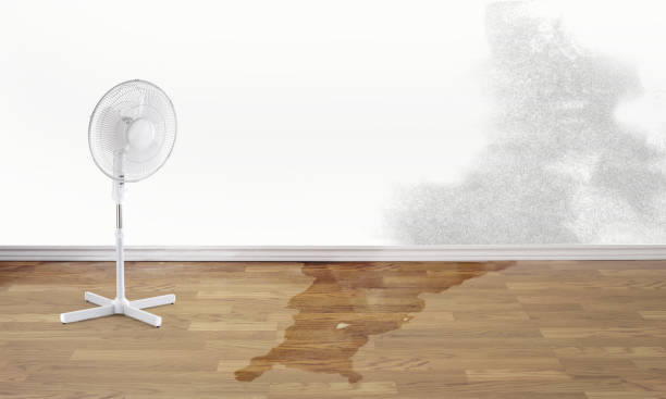 Best Water damage mitigation services  in Marengo, IL