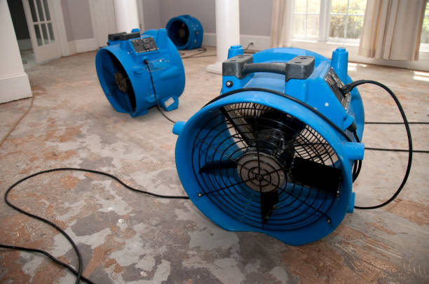 Best Professional water damage repair  in Marengo, IL