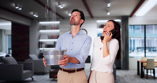 Best Flood restoration services  in Marengo, IL