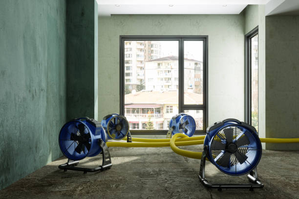 Trusted Marengo, IL Water damage restoration Experts